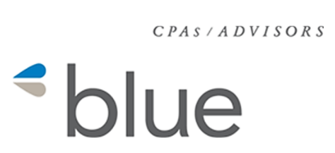 Blue & Co. logo